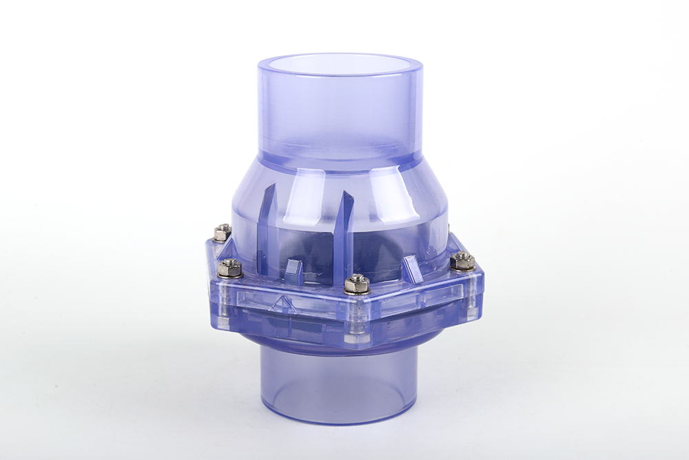 红山透明翻板式止回阀